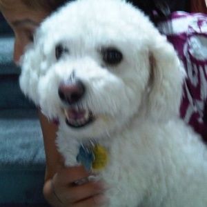 Meet your Posher, Mindy